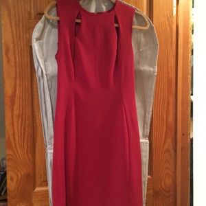 Calvin Klein Raspberry Red Dress